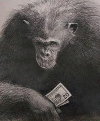 monkey_money.jpg